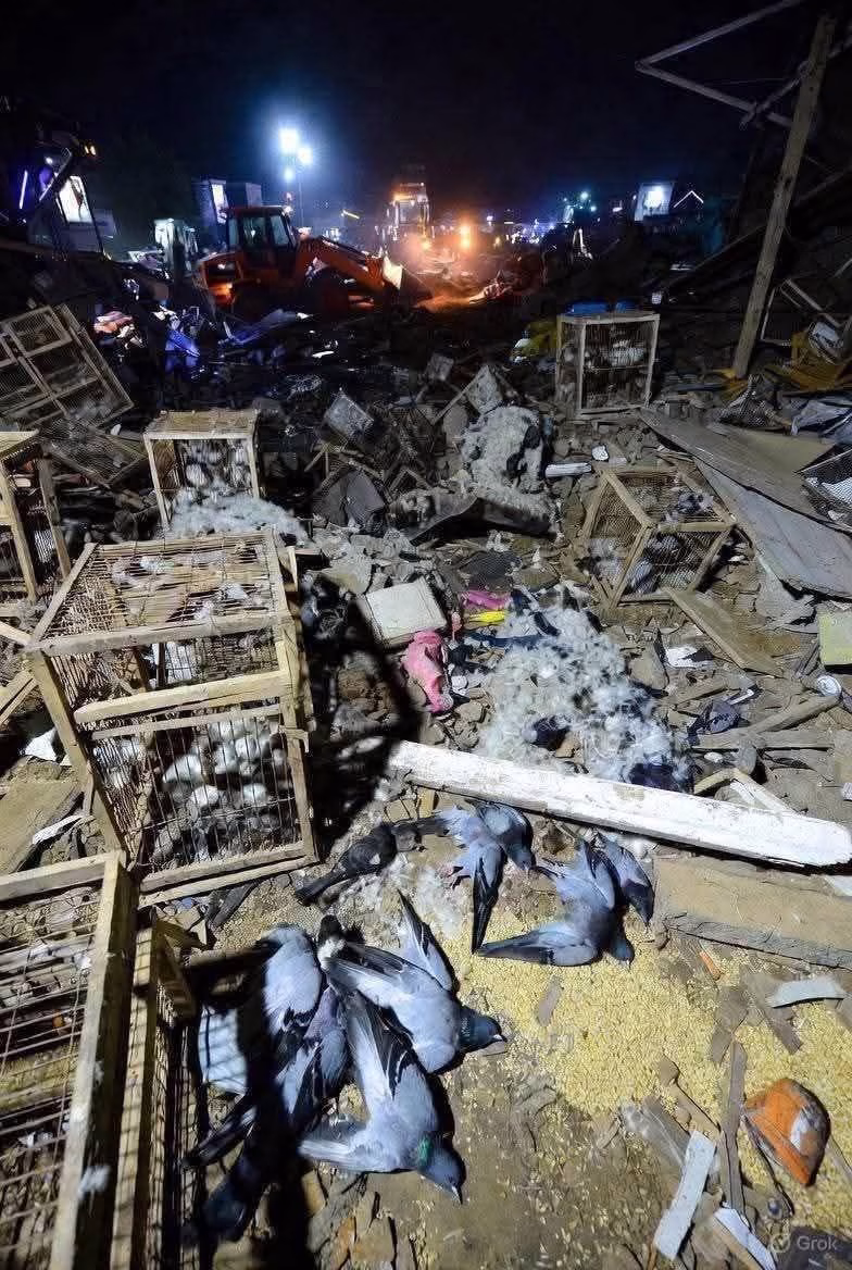 پرندہ مارکیٹ تصویر